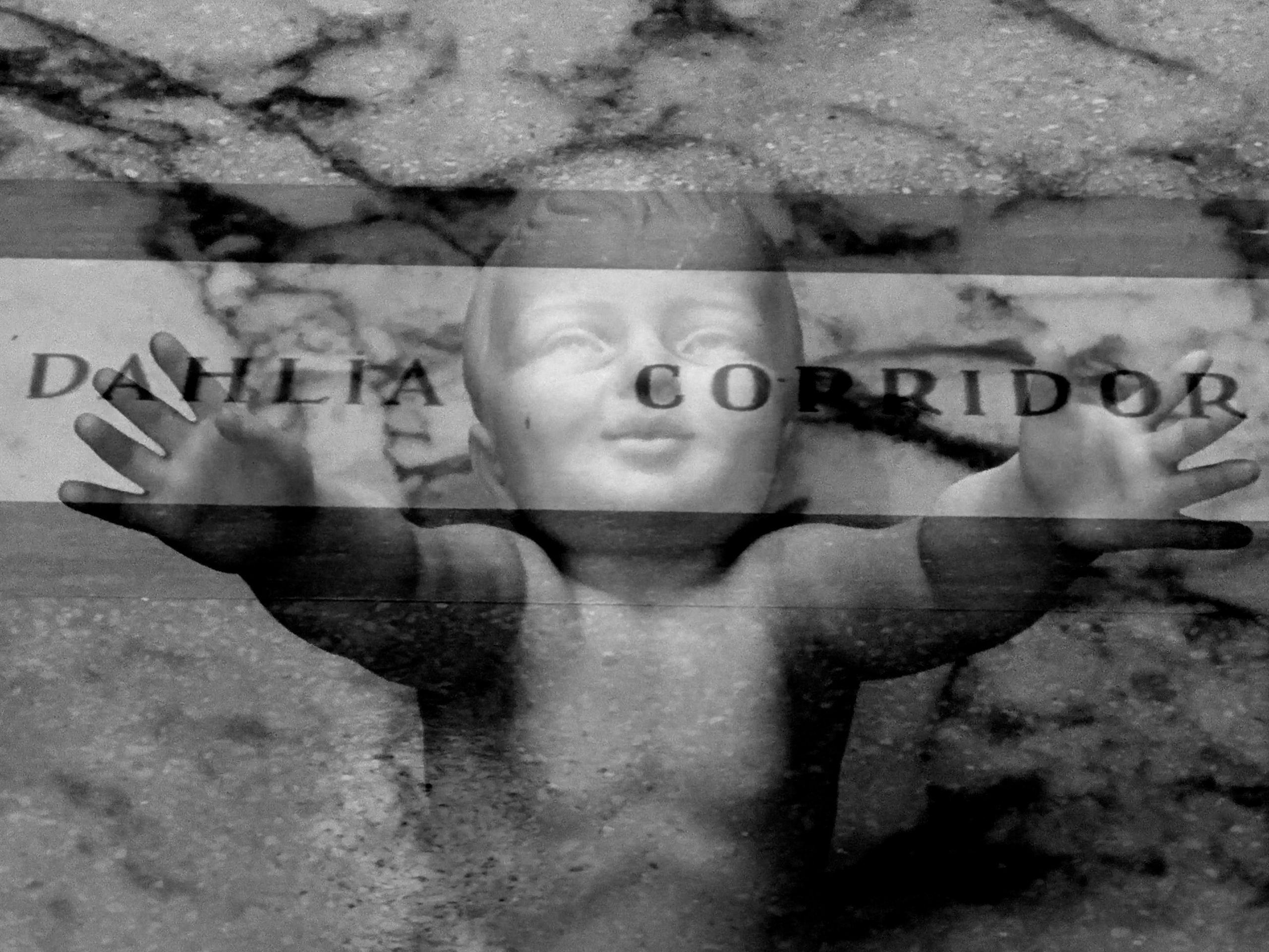 Studio Hanniball Event Exhibition SICK DAYS