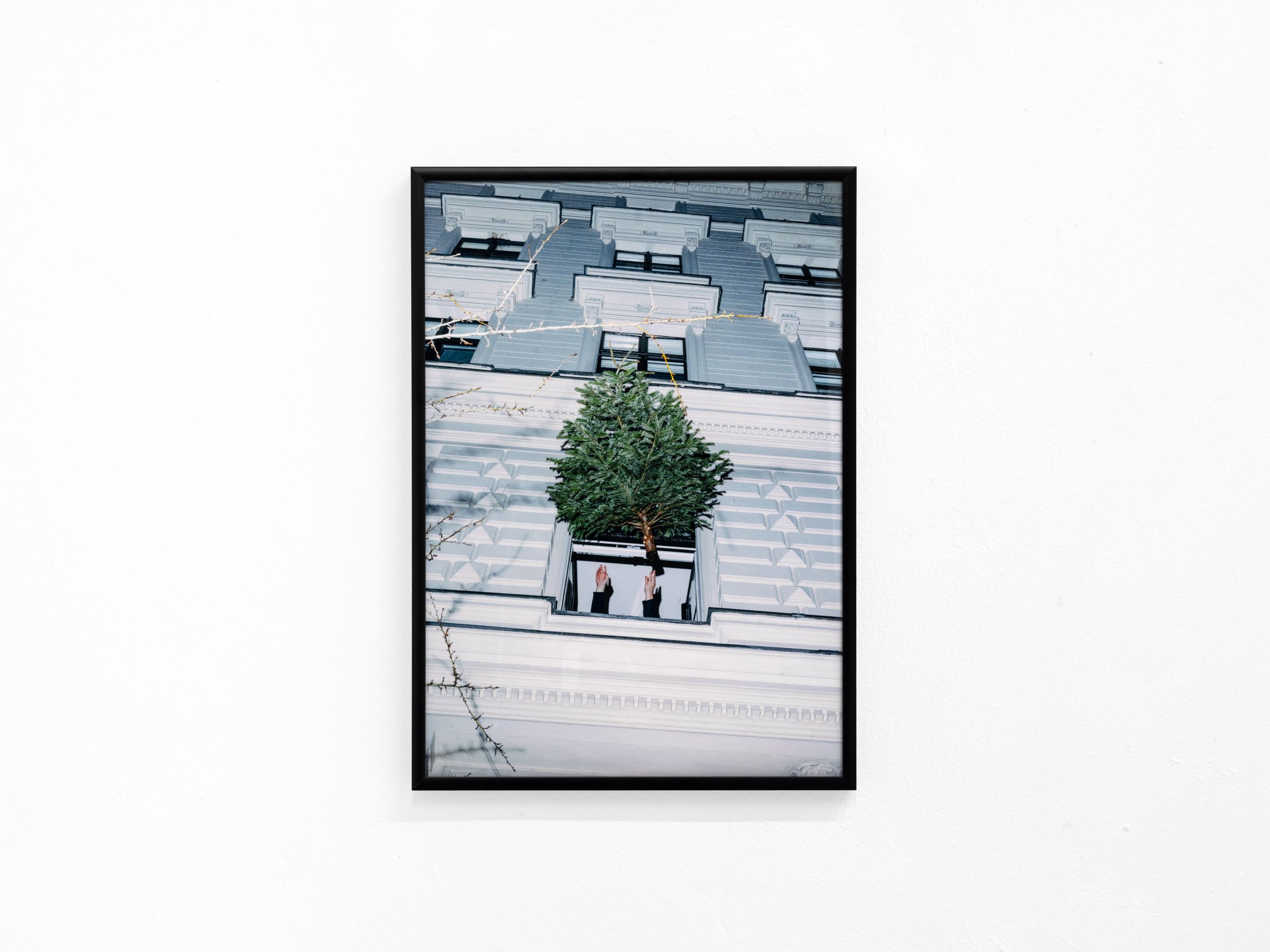 Studio Hanniball Event Exhibition Reincarnation