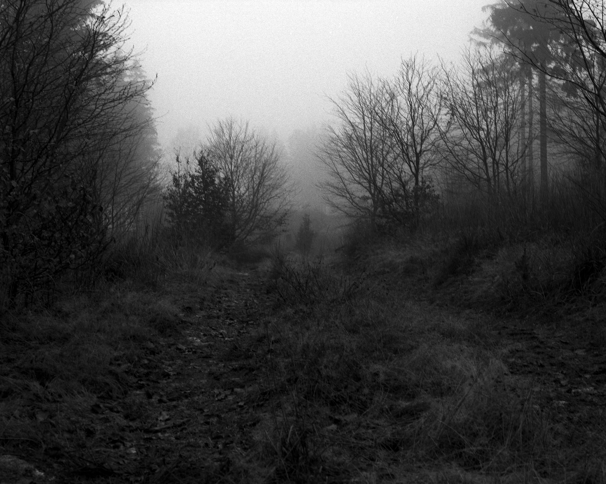 Studio Hanniball Artist Michel Kekulé