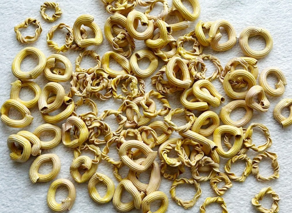 Pasta Rings by Dominika Bednarsky 1
